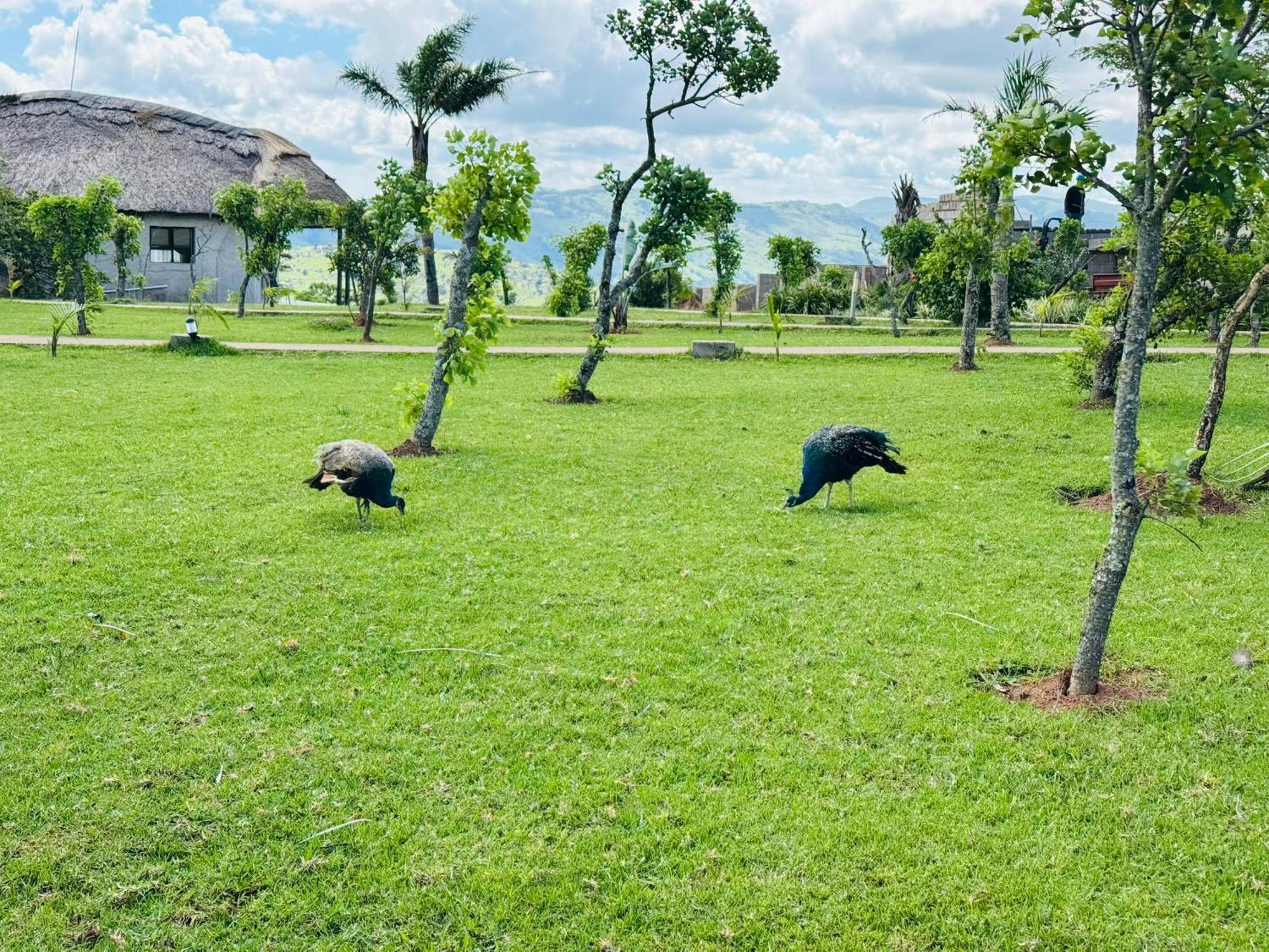 Sibebe Resort Mbabane Bagian luar foto